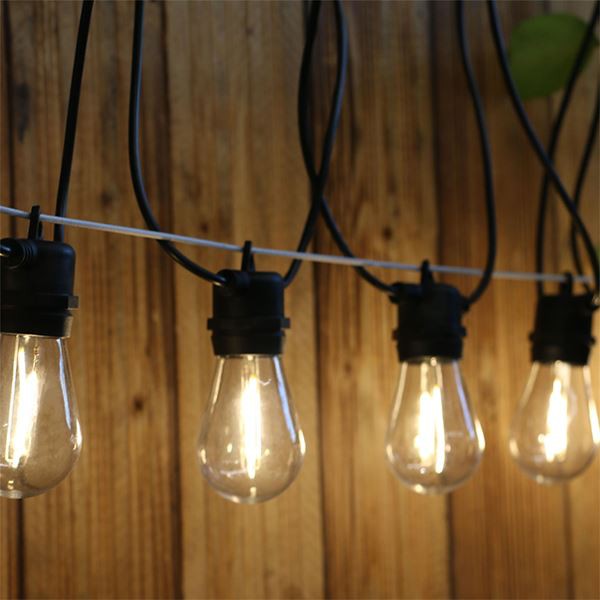 Papaya Bulb Edison Party Light Free Sample